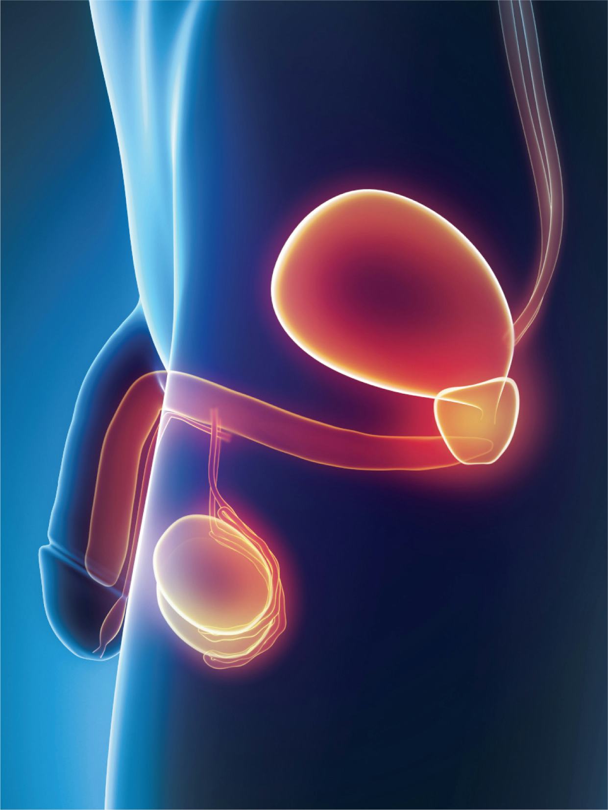 prevenirea prostatitei la bărbați acasă durere la urinare la bărbați tratament